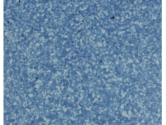 China Manufacturer plastic flooring 2mm homogeneous floor vinyl for hospital