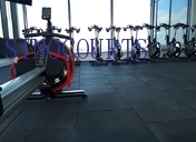 Rubber Tiles or Rubber Mats for GYM.